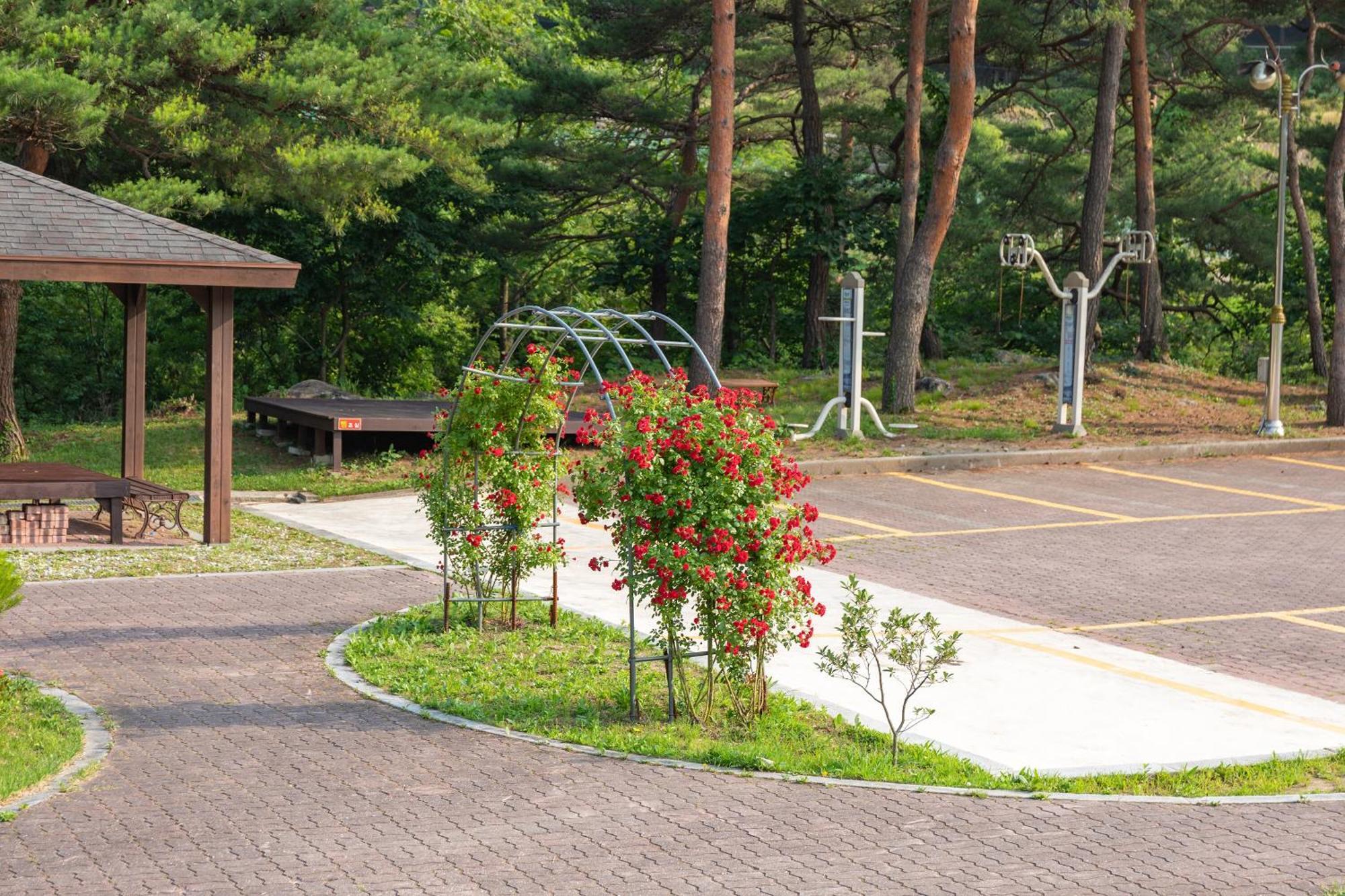 Gangneung Yasaenghwa Maeul Hotel Екстериор снимка